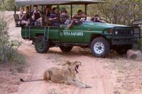 Viva Safaris image 9